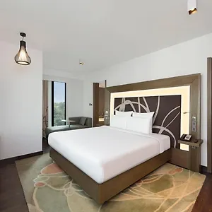 Hotel Ocean The Near Delhi Airport, New Delhi